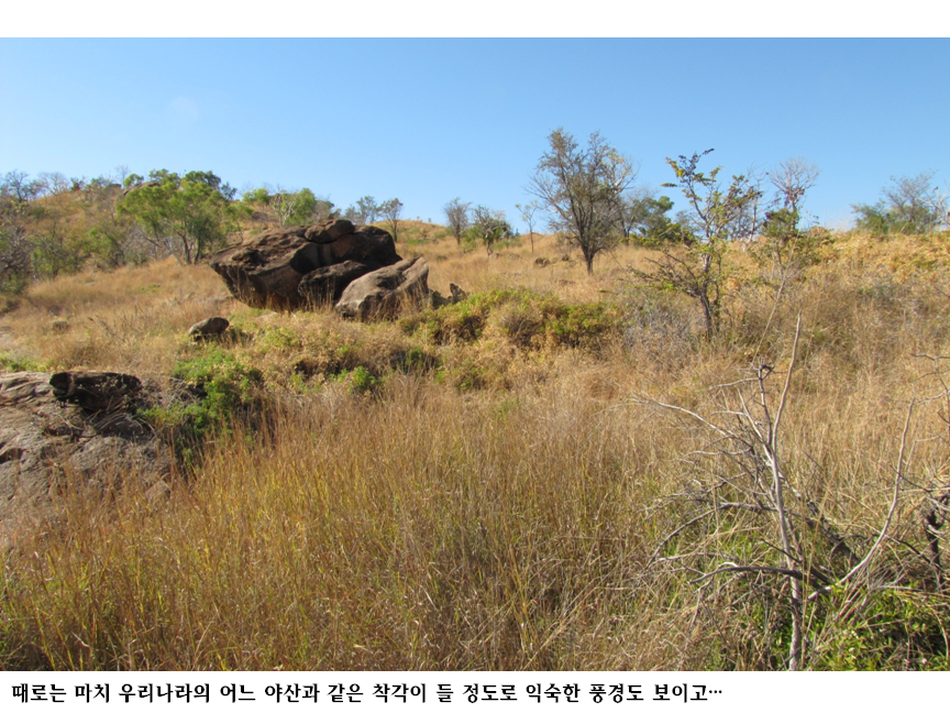 슬라이드113.PNG