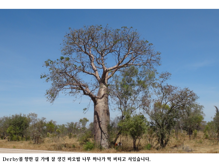슬라이드59.PNG