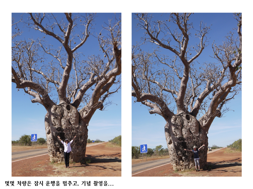 슬라이드89.PNG