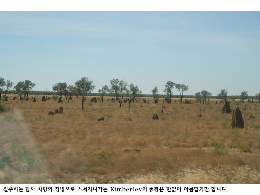 슬라이드111.PNG