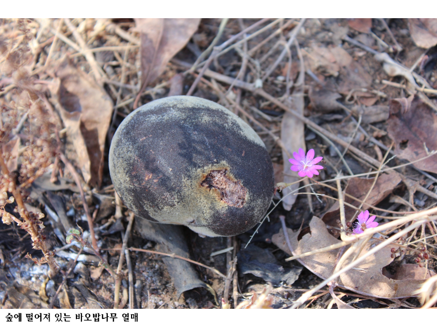 슬라이드63.PNG