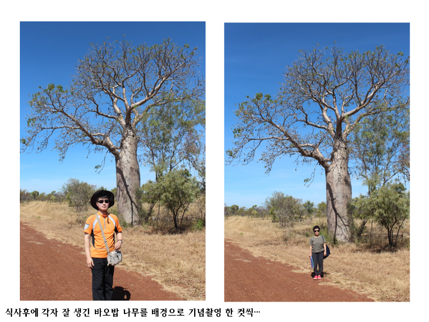 슬라이드66.PNG