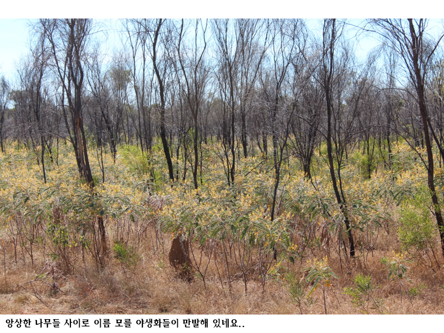 슬라이드86.PNG