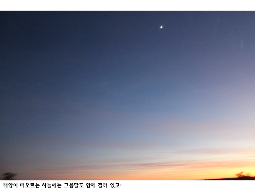슬라이드13.PNG