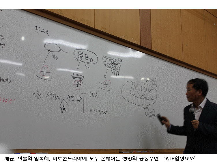 슬라이드11.GIF