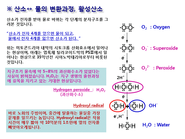 슬라이드67.GIF