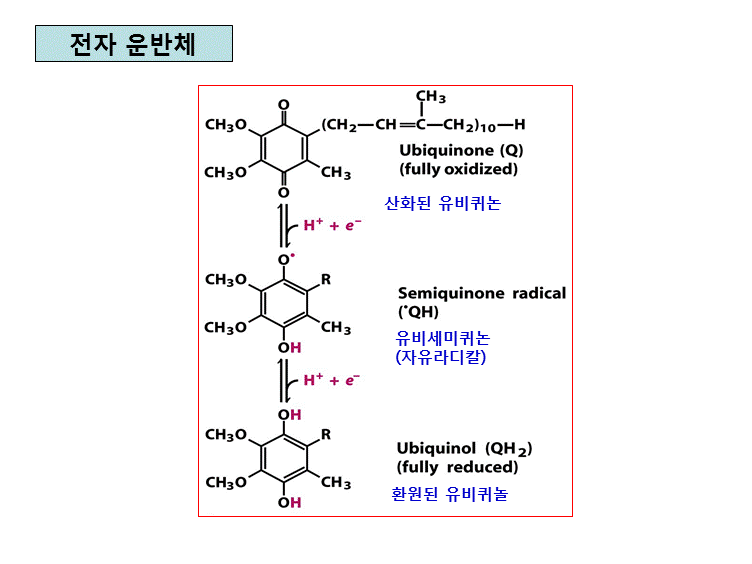 슬라이드37.GIF