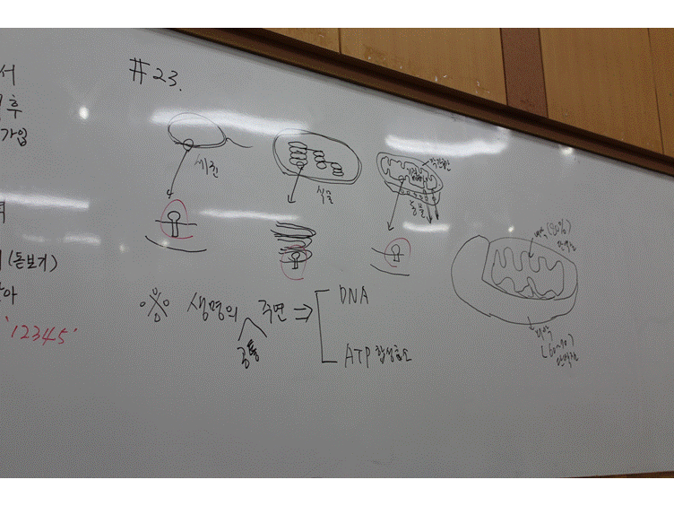 슬라이드8.GIF
