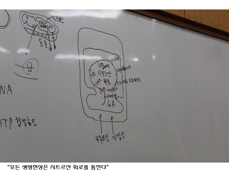 슬라이드14.GIF