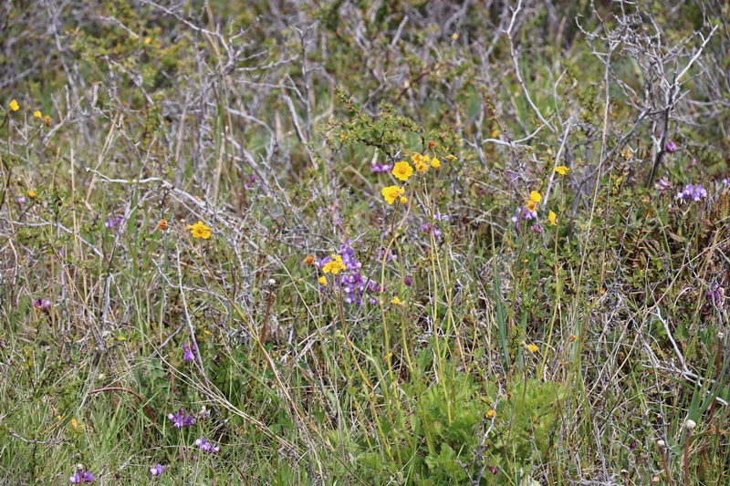 542-20171221-153143.JPG