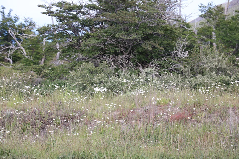455-20171221-153029.JPG