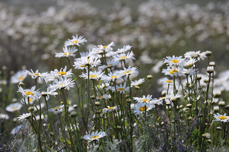 471-20171221-153043.JPG