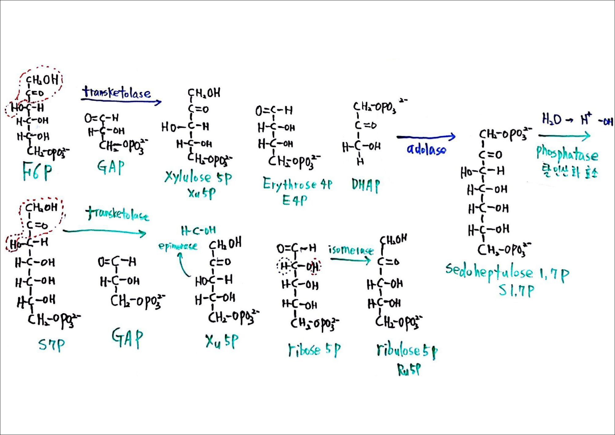 제6회 137억년 우주의 진화 9강 칠판스캔_Page_06.png