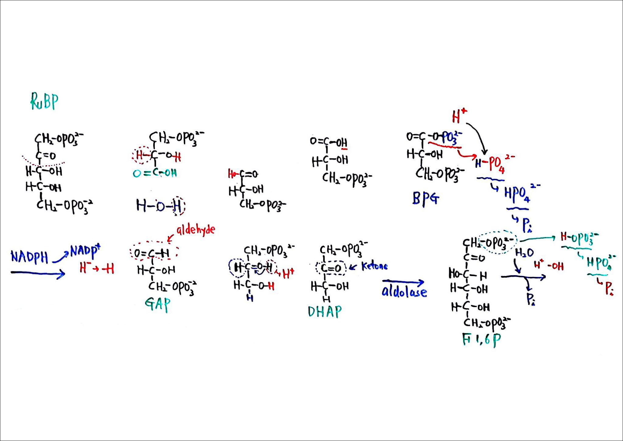 제6회 137억년 우주의 진화 9강 칠판스캔_Page_05.png