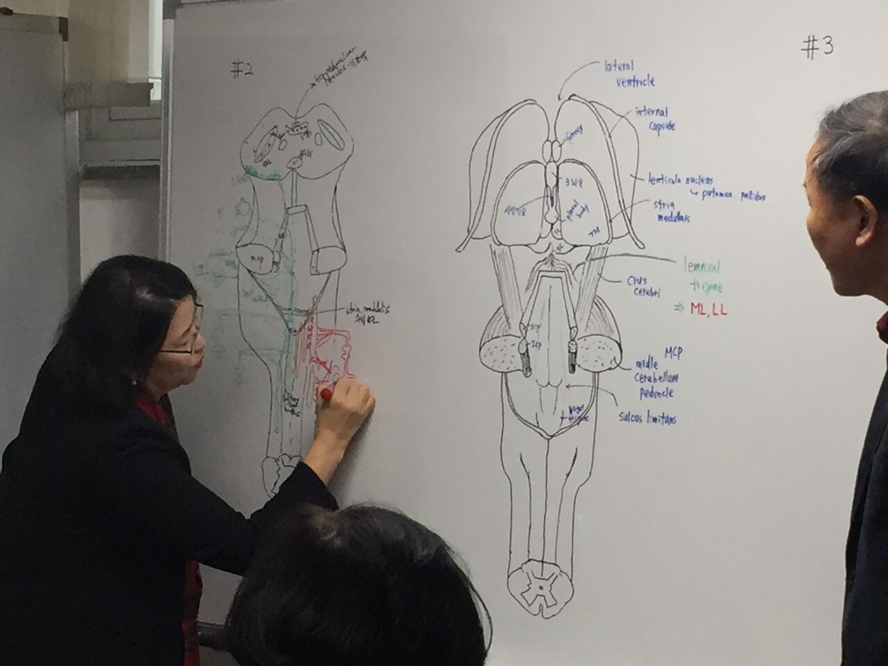 fig_22.jpg