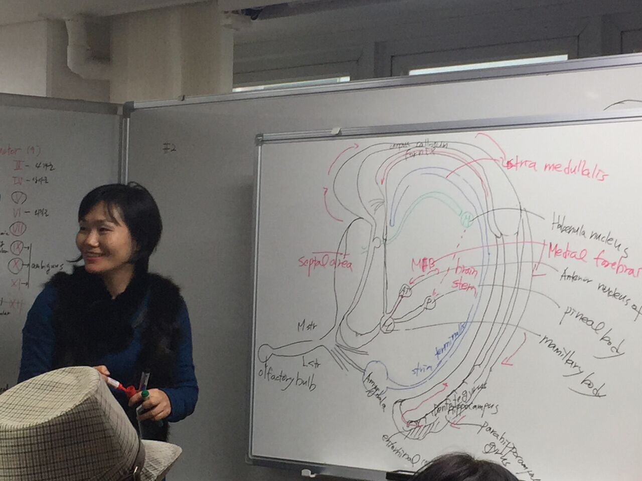 fig_19.jpg