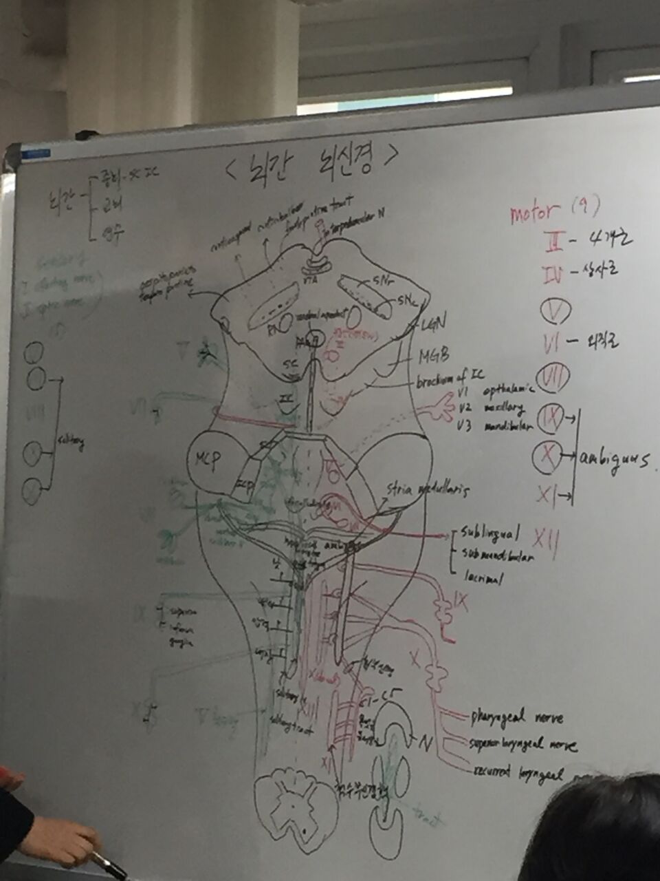 fig_12.jpg