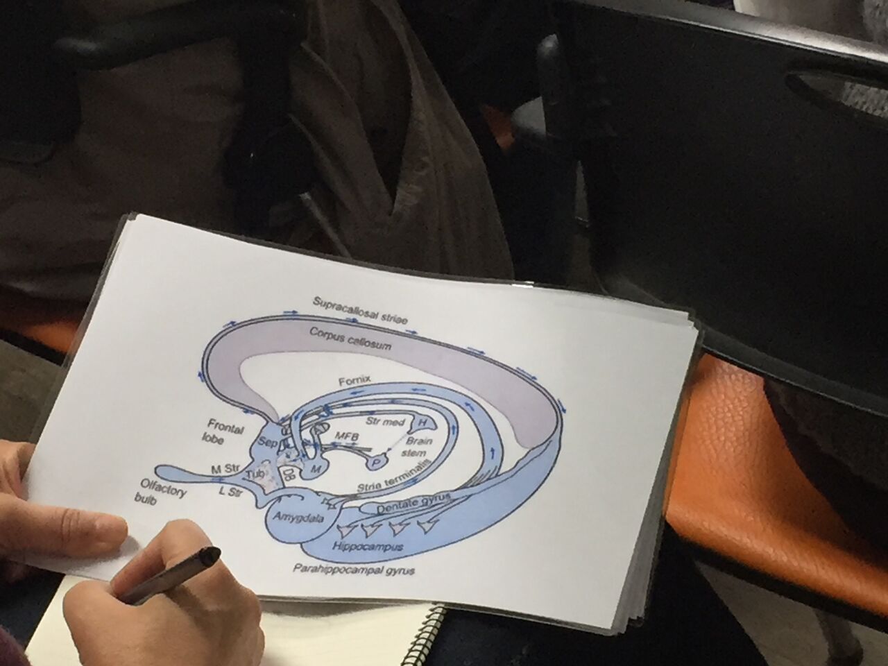 fig_20.jpg