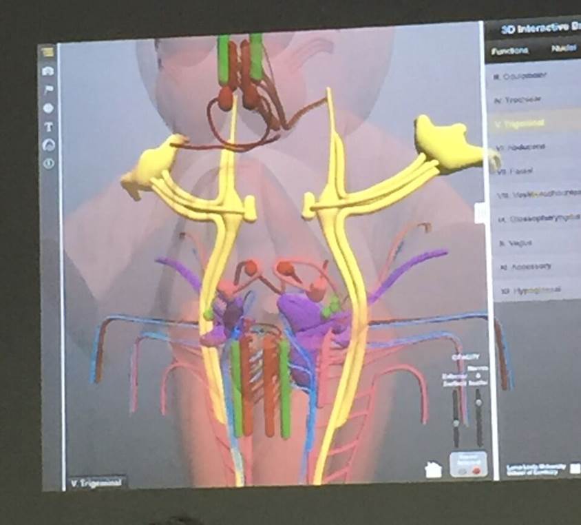 fig_40_1.jpg