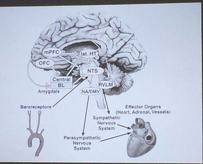 fig_39_1.jpg