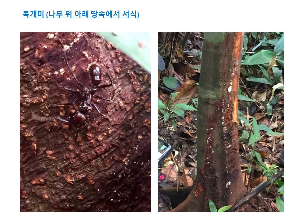 슬라이드28.JPG