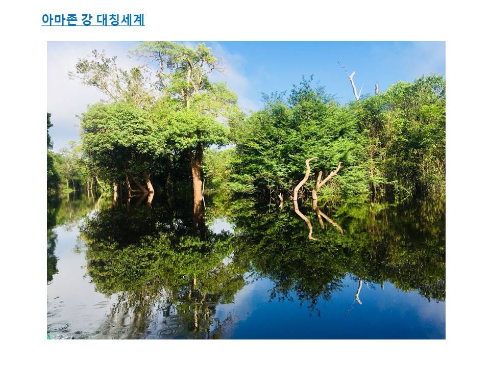 슬라이드32.JPG