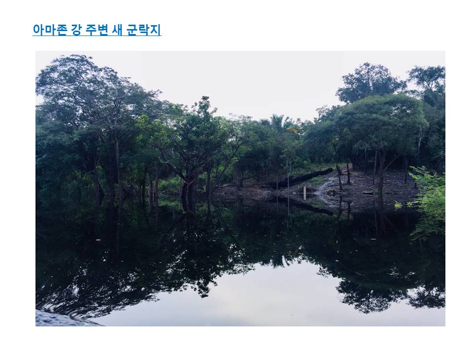 슬라이드31.JPG