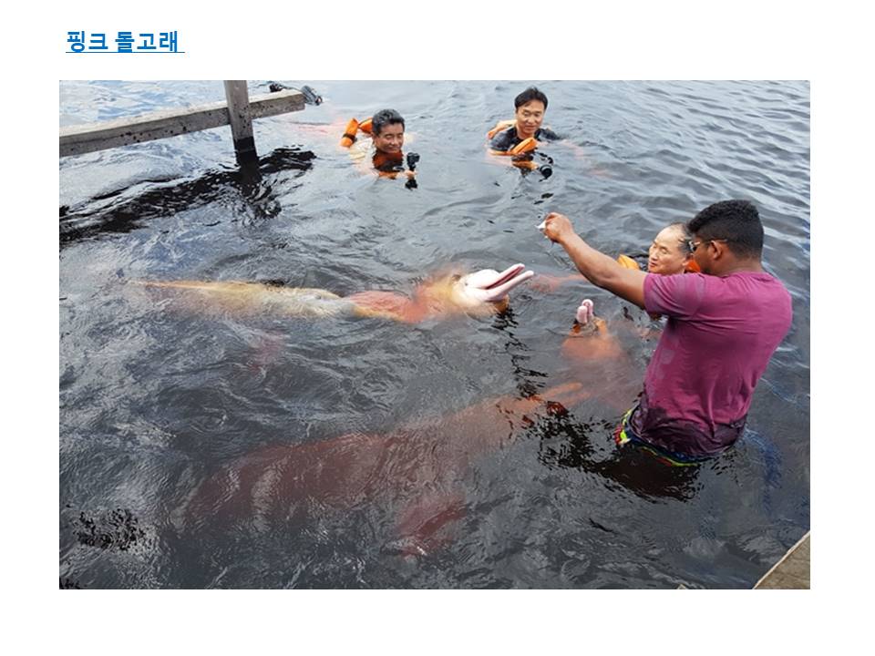 슬라이드17.JPG