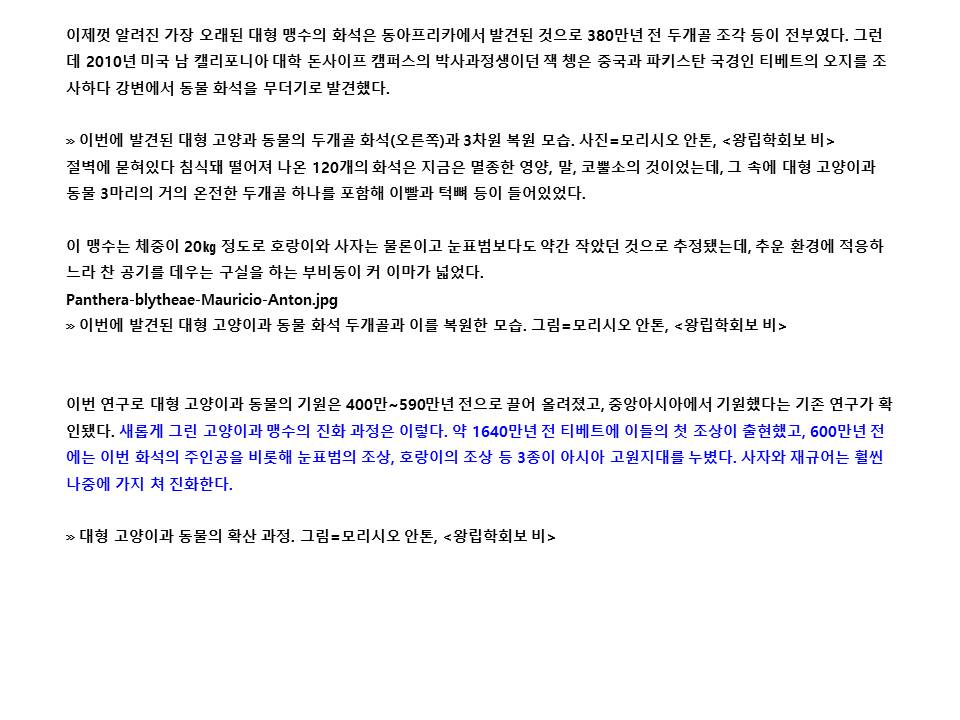 슬라이드8.JPG