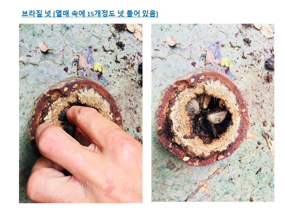 슬라이드27.JPG