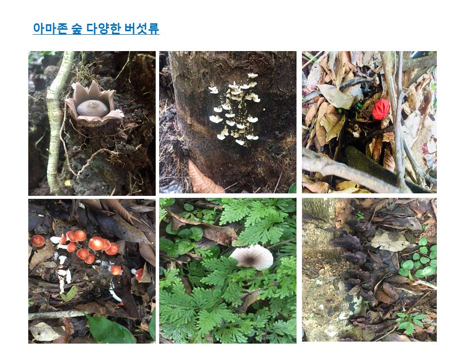 슬라이드34.JPG