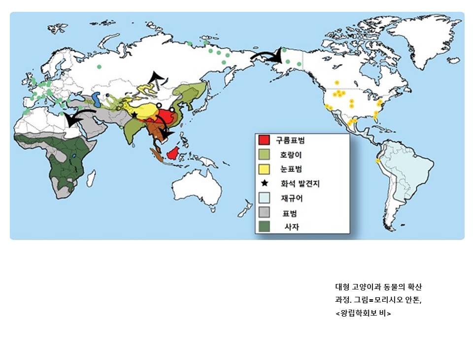 슬라이드9.JPG