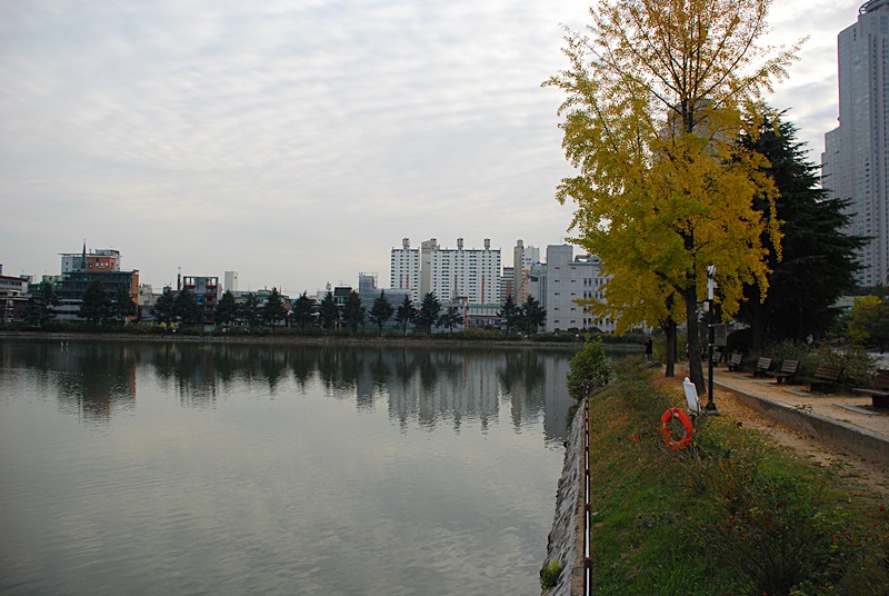 DSC_0231.JPG