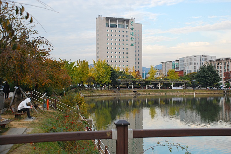 DSC_0229.JPG