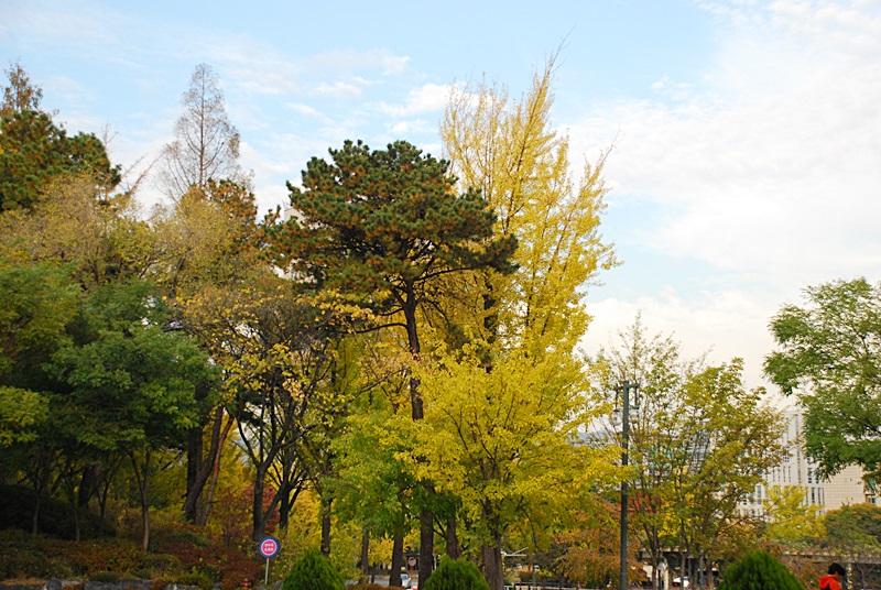 DSC_0212.JPG