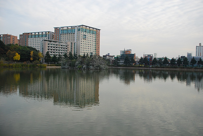 DSC_0230.JPG