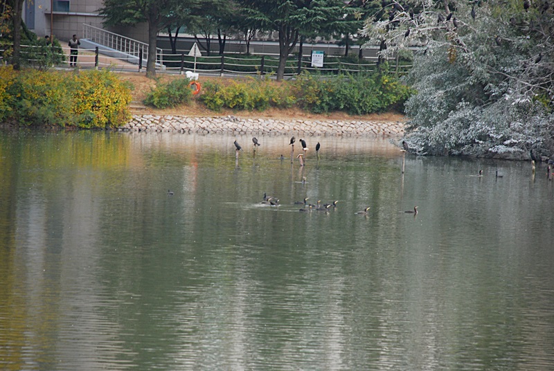 DSC_0228.JPG