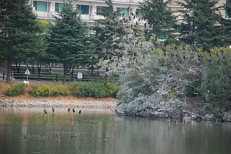 DSC_0226.JPG