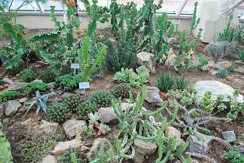 DSC_0909.JPG