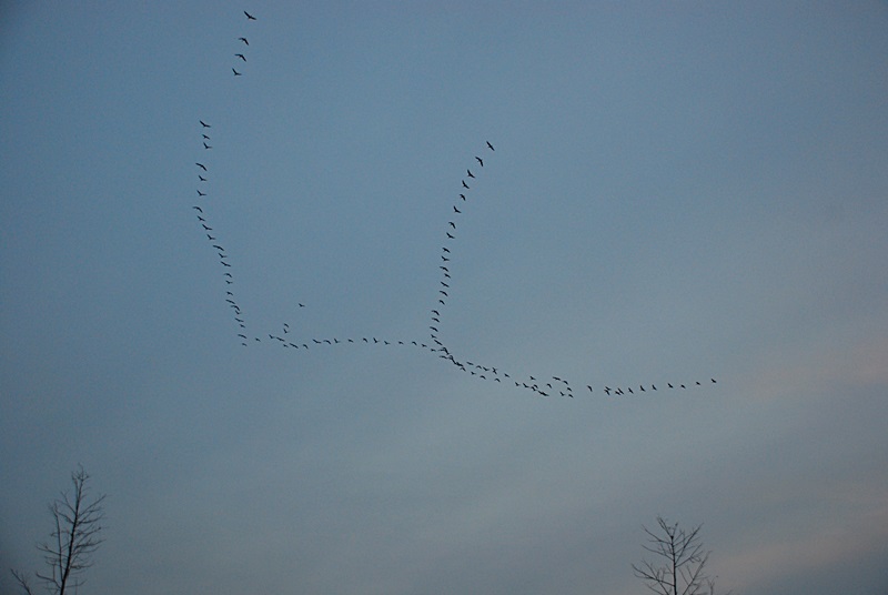 DSC_0572.JPG