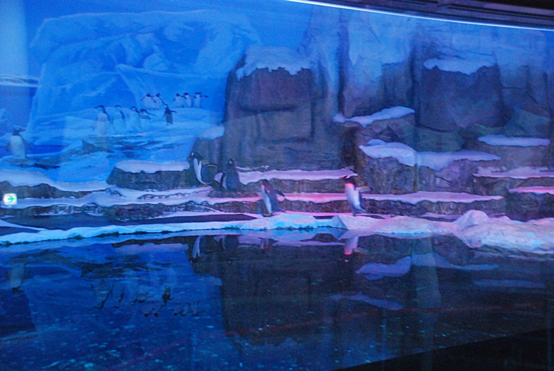 DSC_0859.JPG