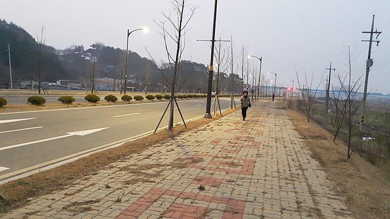 20151220_071957.jpg