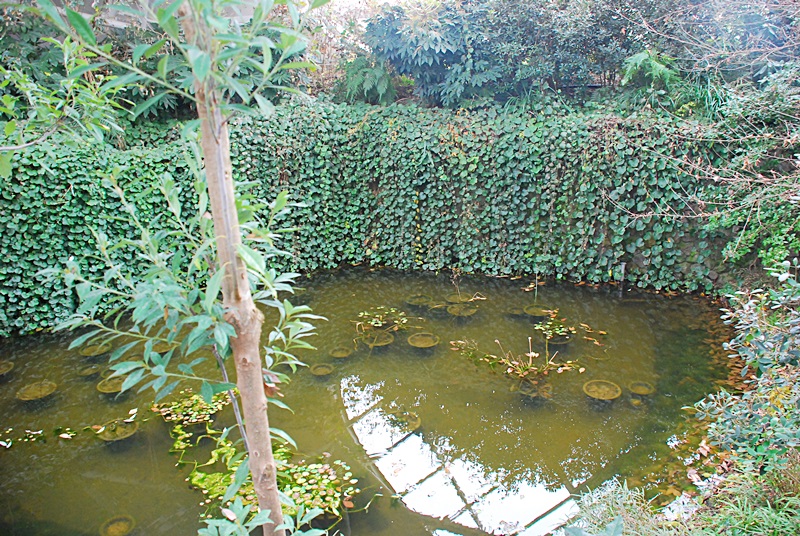 DSC_0881.JPG