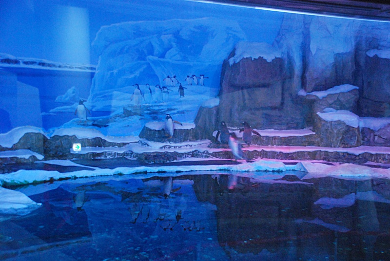 DSC_0860.JPG