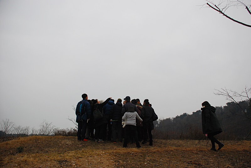 DSC_0799.JPG