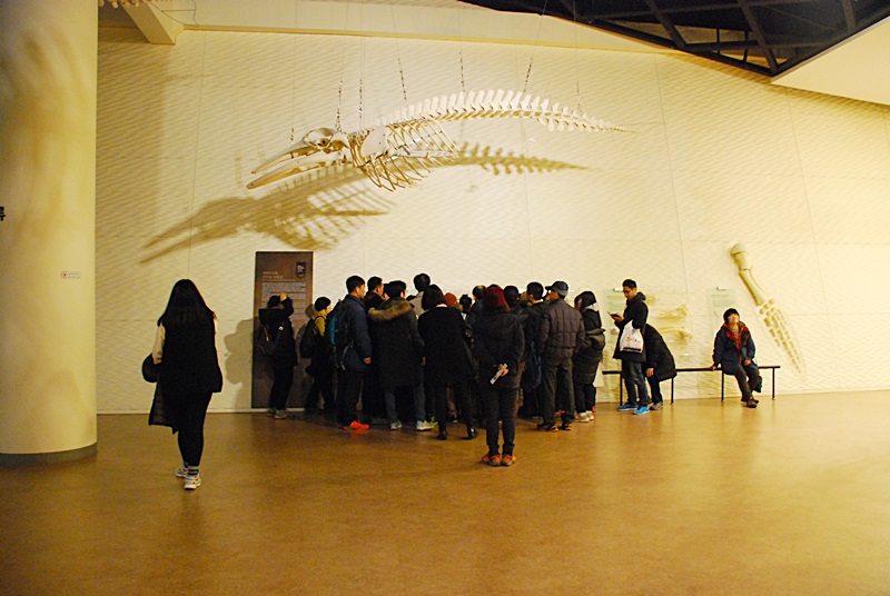 DSC_0767.JPG