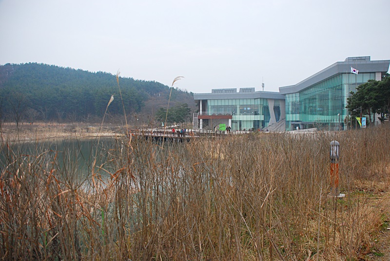 DSC_0813.JPG