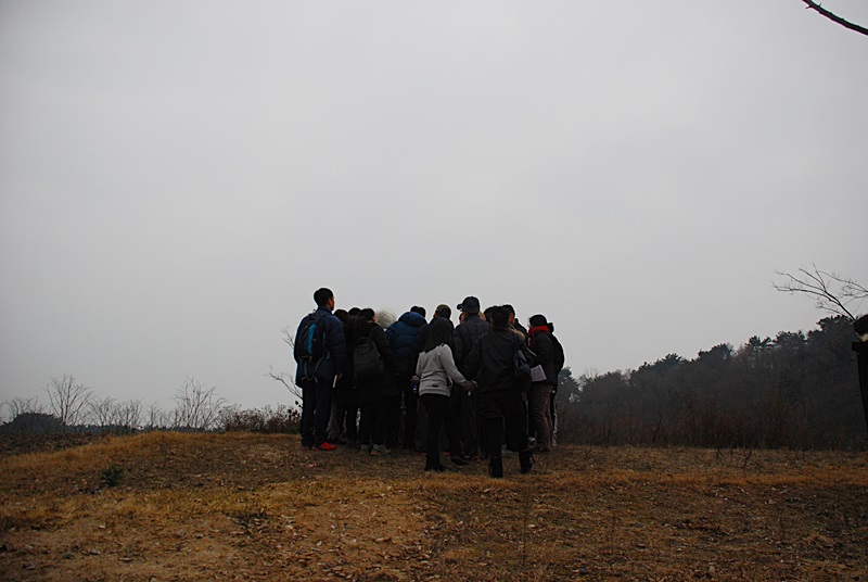 DSC_0798.JPG