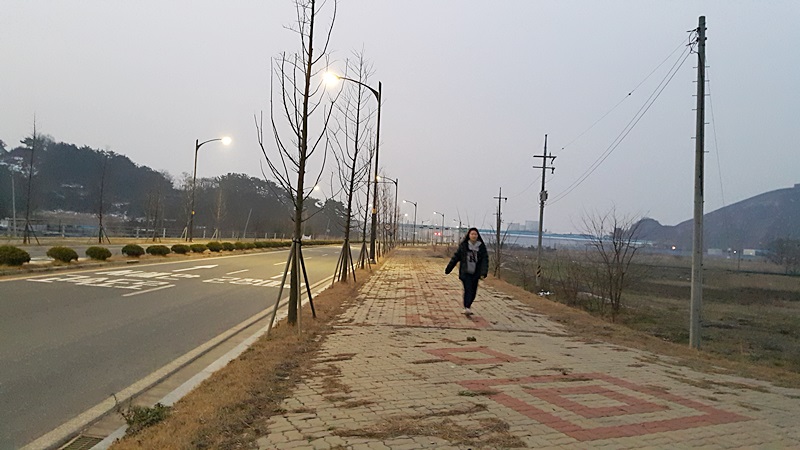 20151220_071912.jpg
