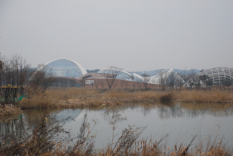 DSC_0811.JPG